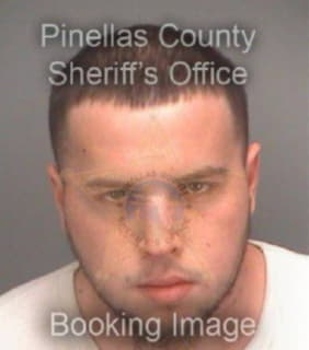 Delaney Darrell - Pinellas County, Florida 