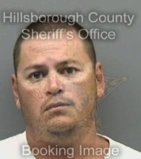 Arellano Jose - Hillsborough County, Florida 