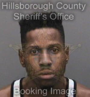 Wilson Joshua - Hillsborough County, Florida 