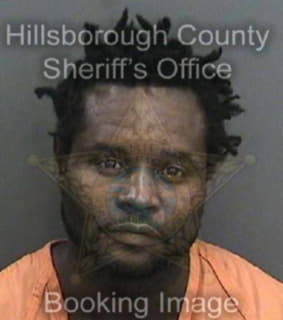 Nelson Limiuel - Hillsborough County, Florida 