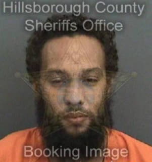 Johnson Michael - Hillsborough County, Florida 