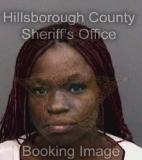 Mcdaniel Ceohissie - Hillsborough County, Florida 