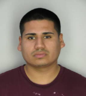 Carranza David - Hillsborough County, Florida 