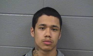Gonzales Martin - Cook County, Illinois 