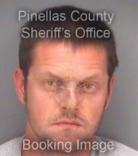 Gibson Timothy - Pinellas County, Florida 