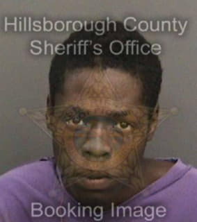 Williams Dashawn - Hillsborough County, Florida 