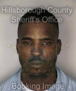 Robinson Sylvester - Hillsborough County, Florida 