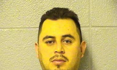 Hernandez Hugo - Cook County, Illinois 