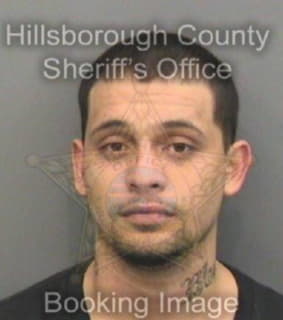 Rodriguez Paul - Hillsborough County, Florida 