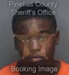 Mason Zaria - Pinellas County, Florida 