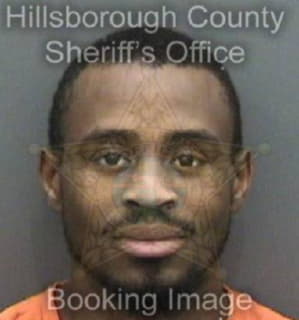 Minley Leroy - Hillsborough County, Florida 