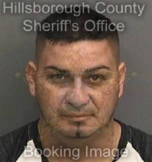 Albertoenamorado Luis - Hillsborough County, Florida 