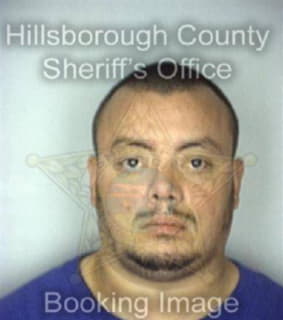 Villanueva Luis - Hillsborough County, Florida 