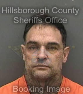 Delvalle Luis - Hillsborough County, Florida 