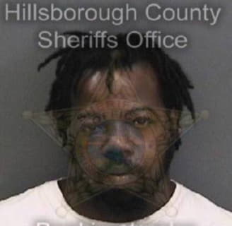 Evans Terrence - Hillsborough County, Florida 