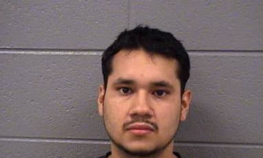 Aviles Alfonso - Cook County, Illinois 
