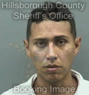 Montoya Andres - Hillsborough County, Florida 