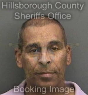 Andrade Anthony - Hillsborough County, Florida 