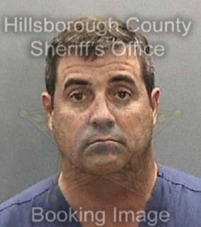 Alvarez David - Hillsborough County, Florida 