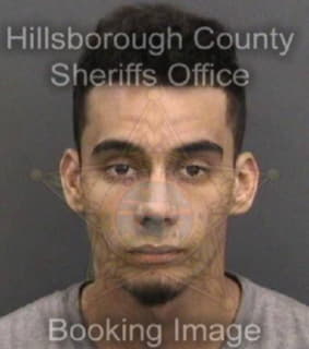 Paulino Steven - Hillsborough County, Florida 