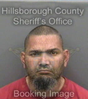 Oquendo Elis - Hillsborough County, Florida 