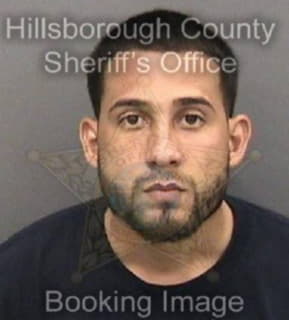 Rodriguez Kelvin - Hillsborough County, Florida 