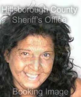 Rodriguezhernandez Amelia - Hillsborough County, Florida 