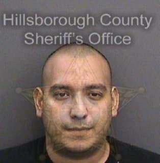 Delarosa Daniel - Hillsborough County, Florida 