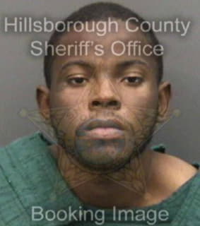 Williams Jerel - Hillsborough County, Florida 