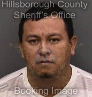 Martinezramirez Hector - Hillsborough County, Florida 