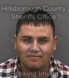 Olaez Jorge - Hillsborough County, Florida 