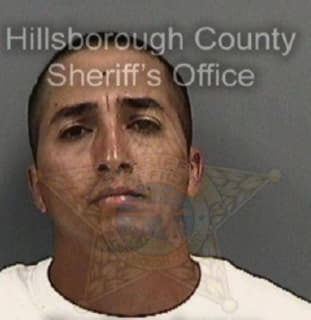 Rivera Ruben - Hillsborough County, Florida 