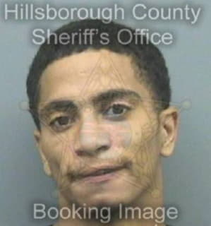 Mcghee Denzel - Hillsborough County, Florida 