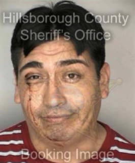 Montalvo Emilio - Hillsborough County, Florida 