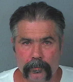 Doyle Michael - Hernando County, Florida 