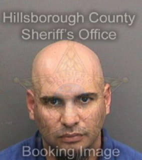 Velazquez Pavel - Hillsborough County, Florida 