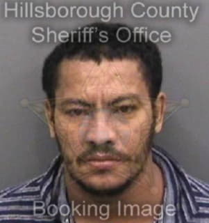 Martinezsosa Rolando - Hillsborough County, Florida 