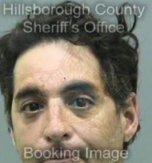 Rosado William - Hillsborough County, Florida 