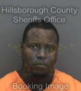 Williams Damon - Hillsborough County, Florida 