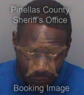 Johnson Michael - Pinellas County, Florida 