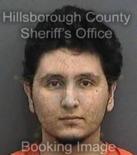 Vayssie Nicholas - Hillsborough County, Florida 