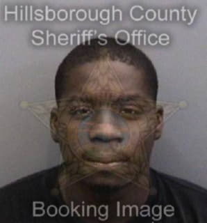 Diggs Obie - Hillsborough County, Florida 