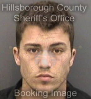 Minter Taylor - Hillsborough County, Florida 