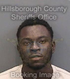 Dehaney Damion - Hillsborough County, Florida 