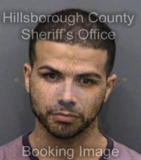 Martin Orlando - Hillsborough County, Florida 