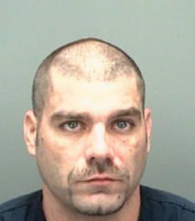 Nickerson Anthony - Pinellas County, Florida 