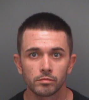 Wehinger Daniel - Pinellas County, Florida 