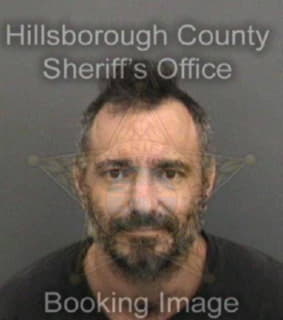 Medeiros Ryan - Hillsborough County, Florida 