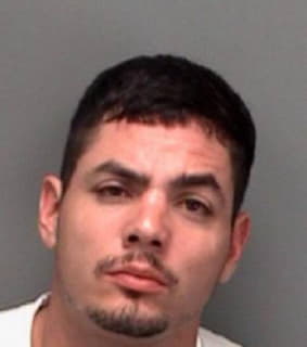 Colon Anthony - Pinellas County, Florida 