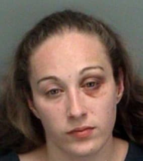 Anderson Ashley - Pinellas County, Florida 